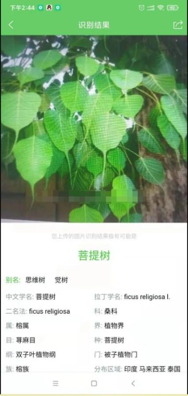 慧眼识花草小程序源码测试图-03