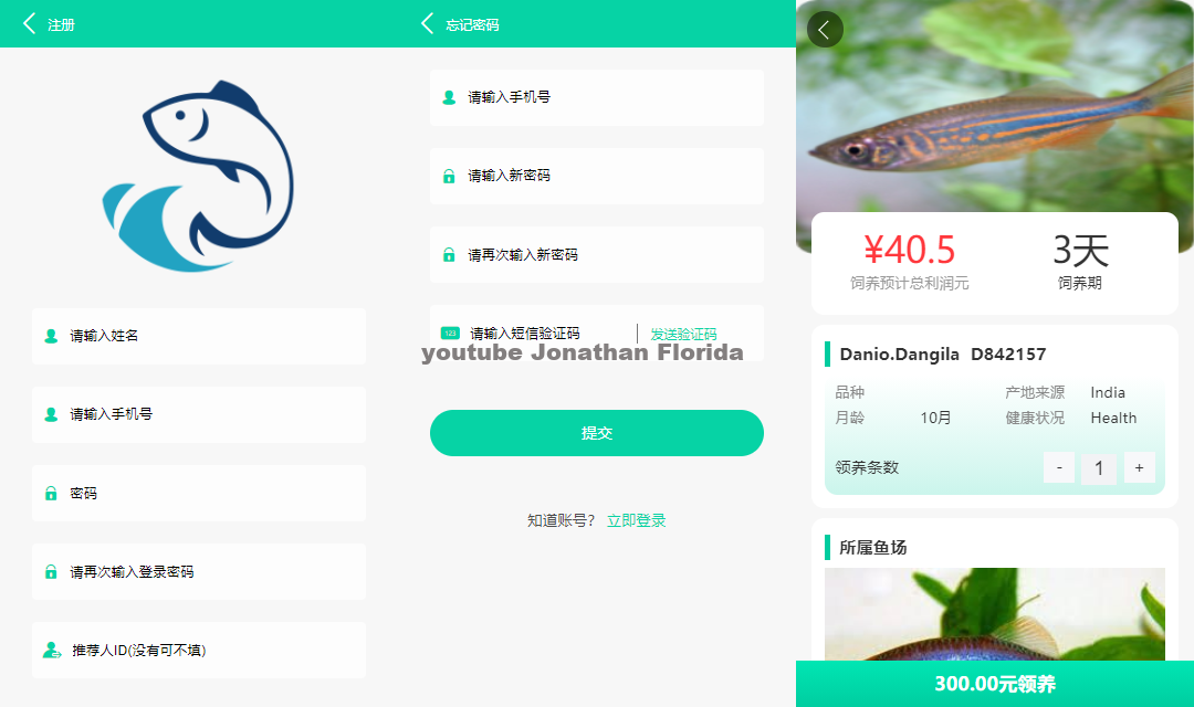 养鱼金融投资理财源码演示图_01