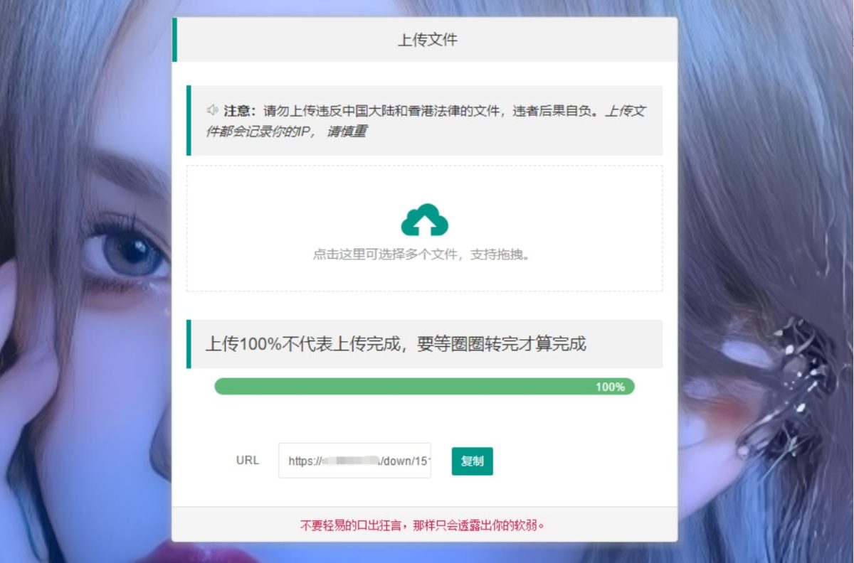临时文件网盘系统源码演示图_02