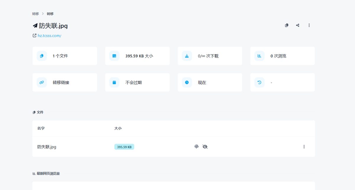 在线加密文件传输系统源码_文件加密传输源码-密码/时效自定义域名-好易源码网