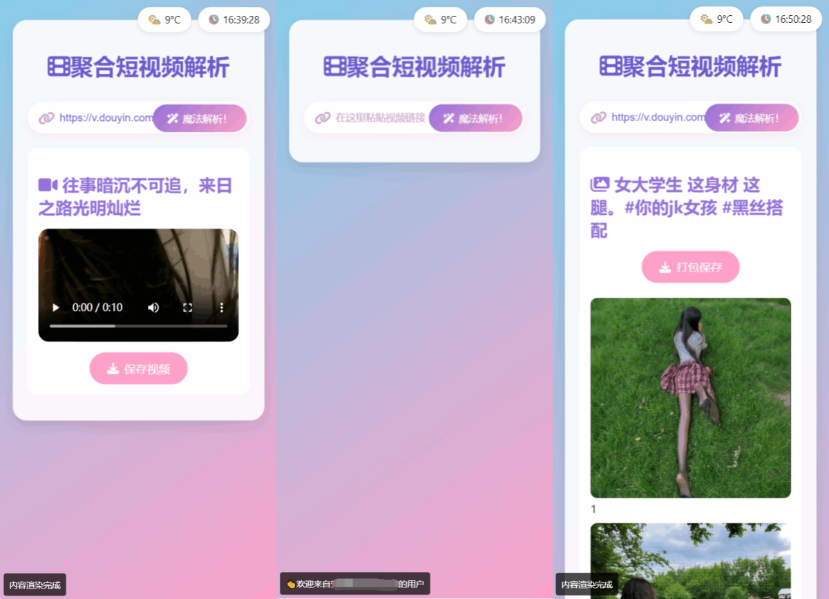 二次元短视频去水印源码演示图_02