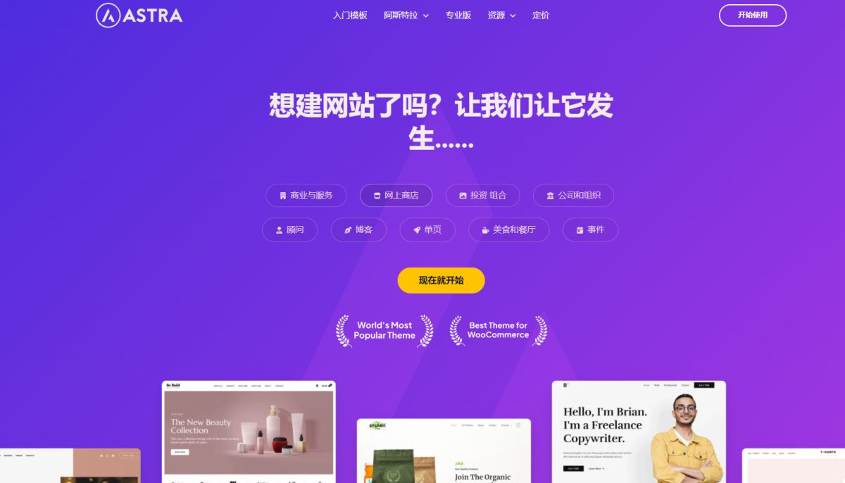 WordPress Astra独立站主题源码演示图_02