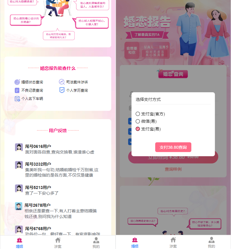 涉诉案底查询系统演示图_02