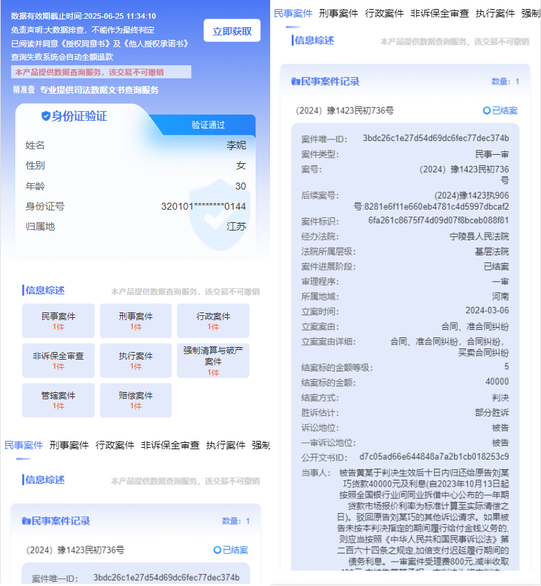 涉诉案底查询系统演示图_04