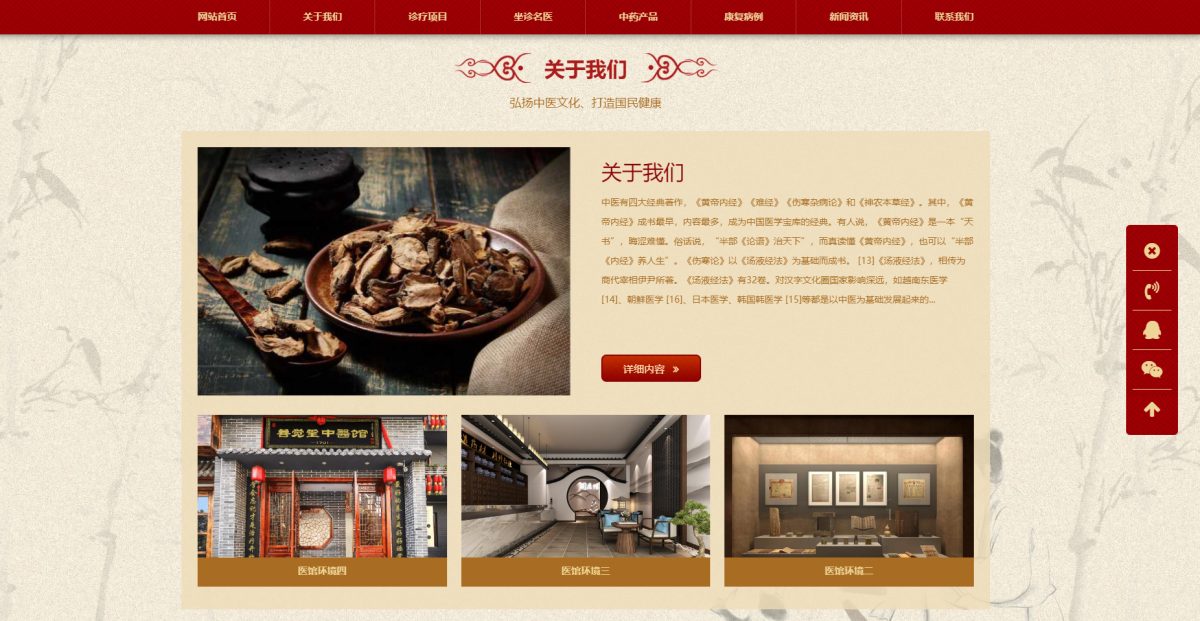 中医中药馆网站模板演示图_03
