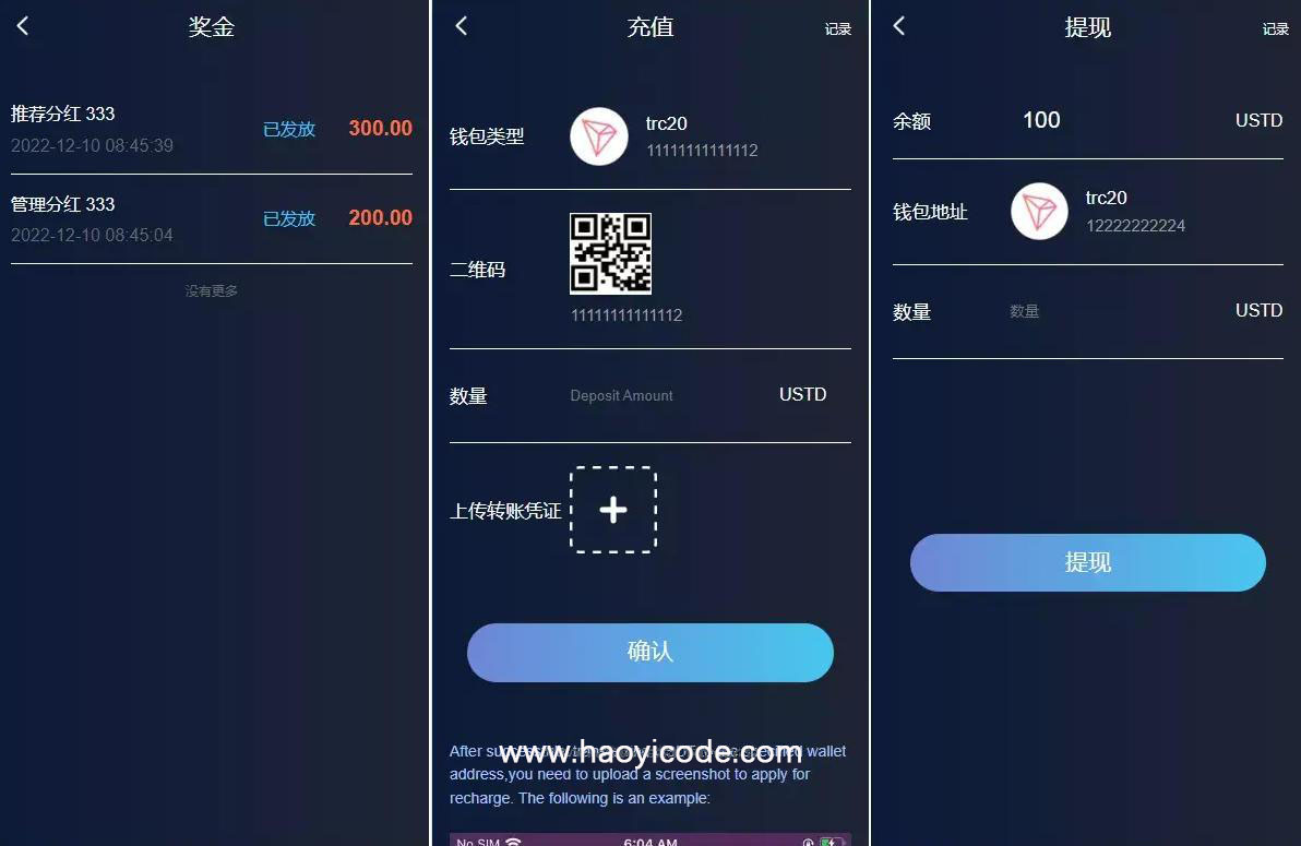 假盘系统源码演示图_01