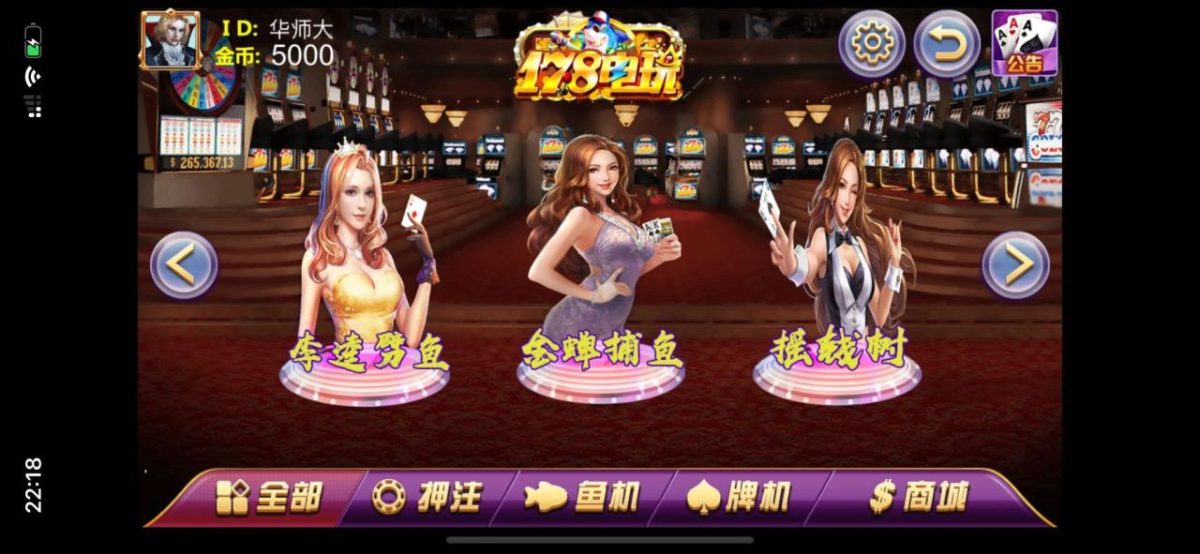 178电玩城源码图3