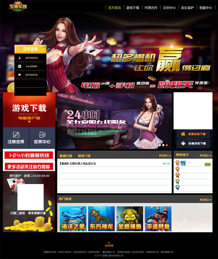 大富豪多套精美网站风格模板-演示图_07