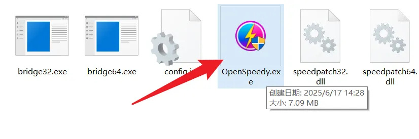 图片[2]-全新开源OpenSpeedy游戏变速工具 _可下载加速百度网盘单文件绿色版-好易源码网