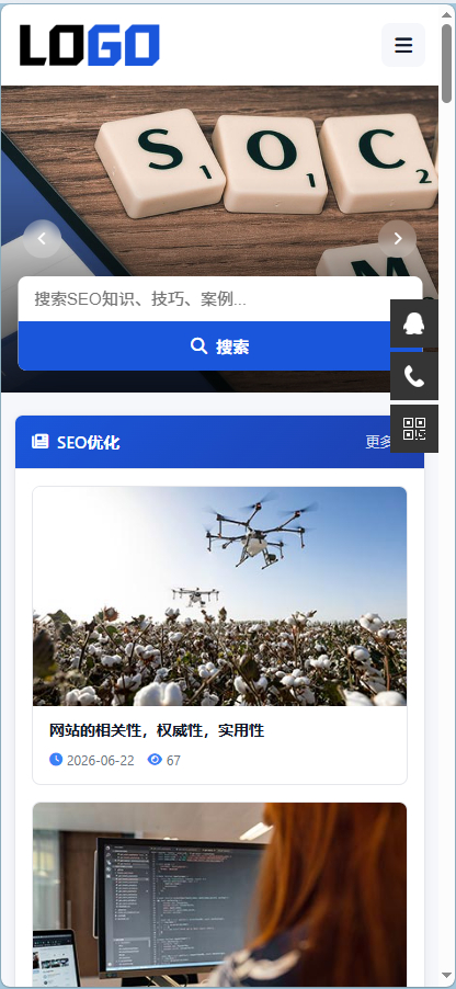 SEO博客网站模板-演示图_02