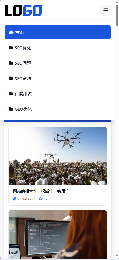 SEO博客网站模板-演示图_03