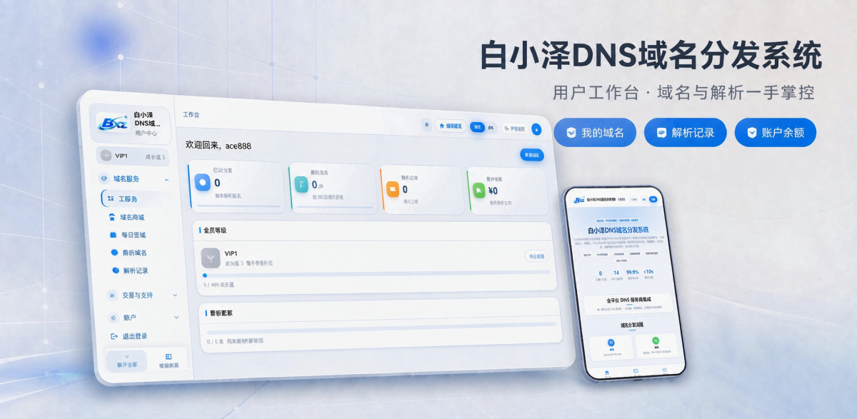 白小泽DNS域名分发系统源码-测试图_02
